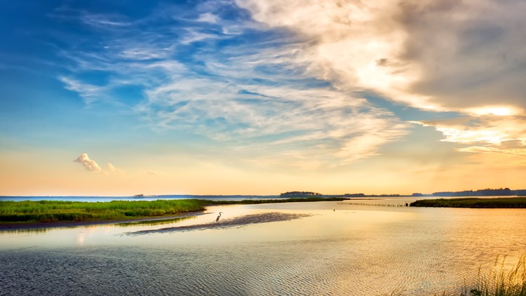 More work needed to clean up Chesapeake Bay, but progress has been made. How can Virginia help?