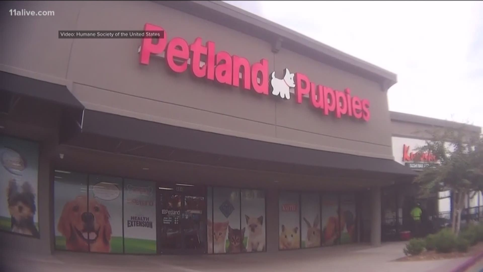 petland in